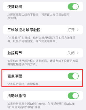 白沙苹果授权维修站分享iPhone轻点无法唤醒怎么办 