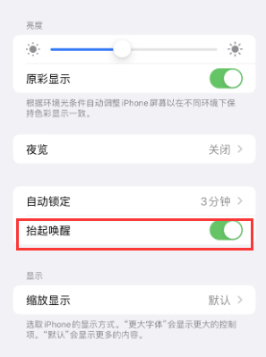 白沙苹果授权维修站分享iPhone轻点无法唤醒怎么办