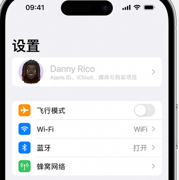 白沙appleID维修服务iPhone设置中Apple ID显示为灰色无法使用 