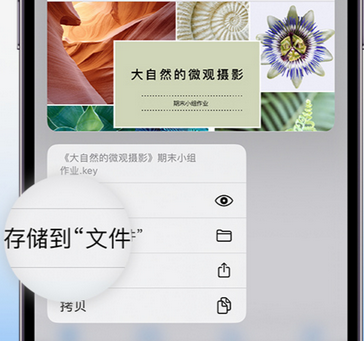 白沙apple维修中心分享iPhone文件应用中存储和找到下载文件