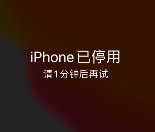 白沙苹果手机维修分享:iPhone 显示“不可用”或“已停用”怎么办？还能保留数据吗？ 