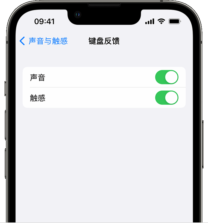 白沙苹果14维修店分享如何在 iPhone 14 机型中使用触感键盘 