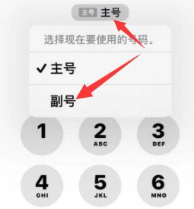 白沙苹果14维修店分享iPhone 14 Pro Max使用副卡打电话的方法 