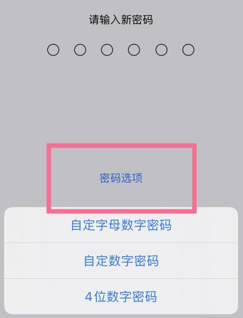 白沙苹果14维修分享iPhone 14plus设置密码的方法 