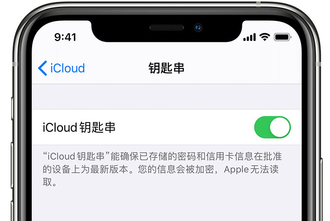 白沙苹果手机维修分享在 iPhone 上开启 iCloud 钥匙串之后会储存哪些信息 