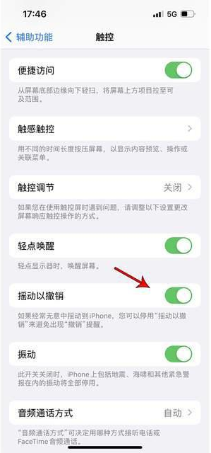 白沙苹果手机维修分享iPhone手机如何设置摇一摇删除文字 