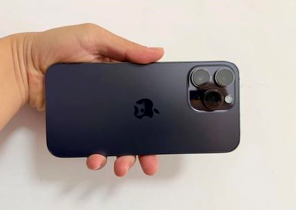 白沙苹果维修点分享iPhone 14 Pro Max黑屏少见故障盘点 
